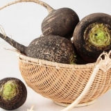 Crna rotkva: korisna svojstva i kontraindikacije